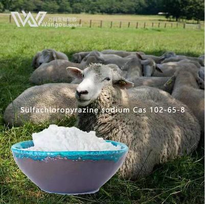 Enrofloxacin Base Powder for Poultry CAS 93106-60-6 Easily Absorbed by Oral Muscle Subcutaneous Administration