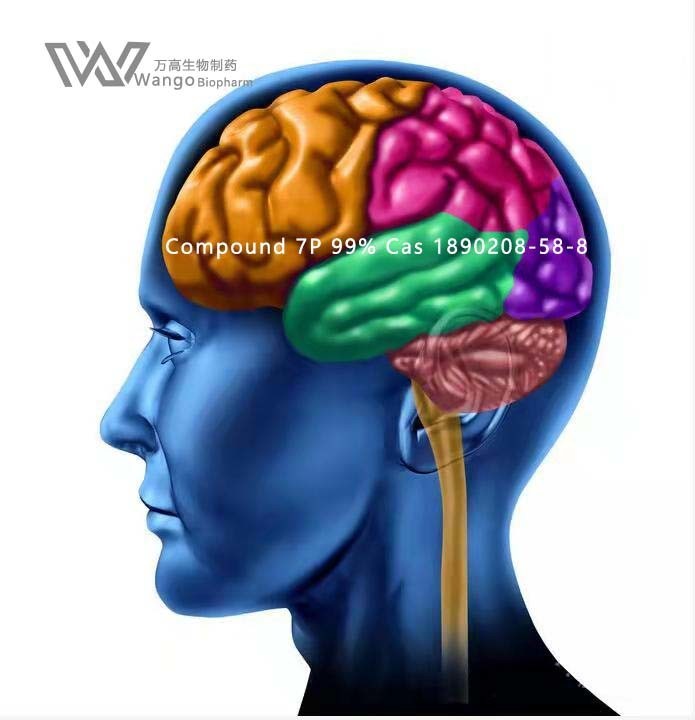 CAS 157115-85-0 Noopept GVS- 111 White Powder for Brain Improvement