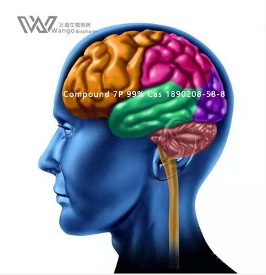 Polvere bianca di CAS 157115-85-0 Noopept GVS- 111 per Brain Improvement