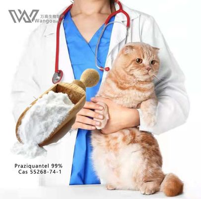 Potente polvere di praziquantel per la schistosomiasi e altre infezioni da parassiti 99% USP Grade