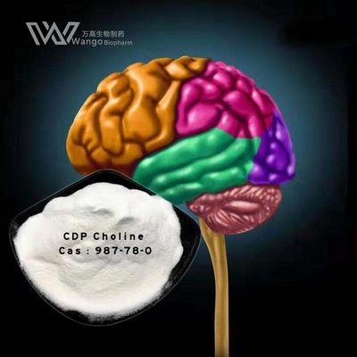 qualità Supplemento di colina CDP per il recupero del cervello dopo l&#039;intervento chirurgico Materia prima medica Fornitura rapida CAS 987-78-0 fabbrica
